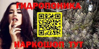 гидра Татарск
